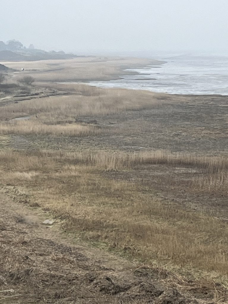 Morsum Sylt Wattenmeer