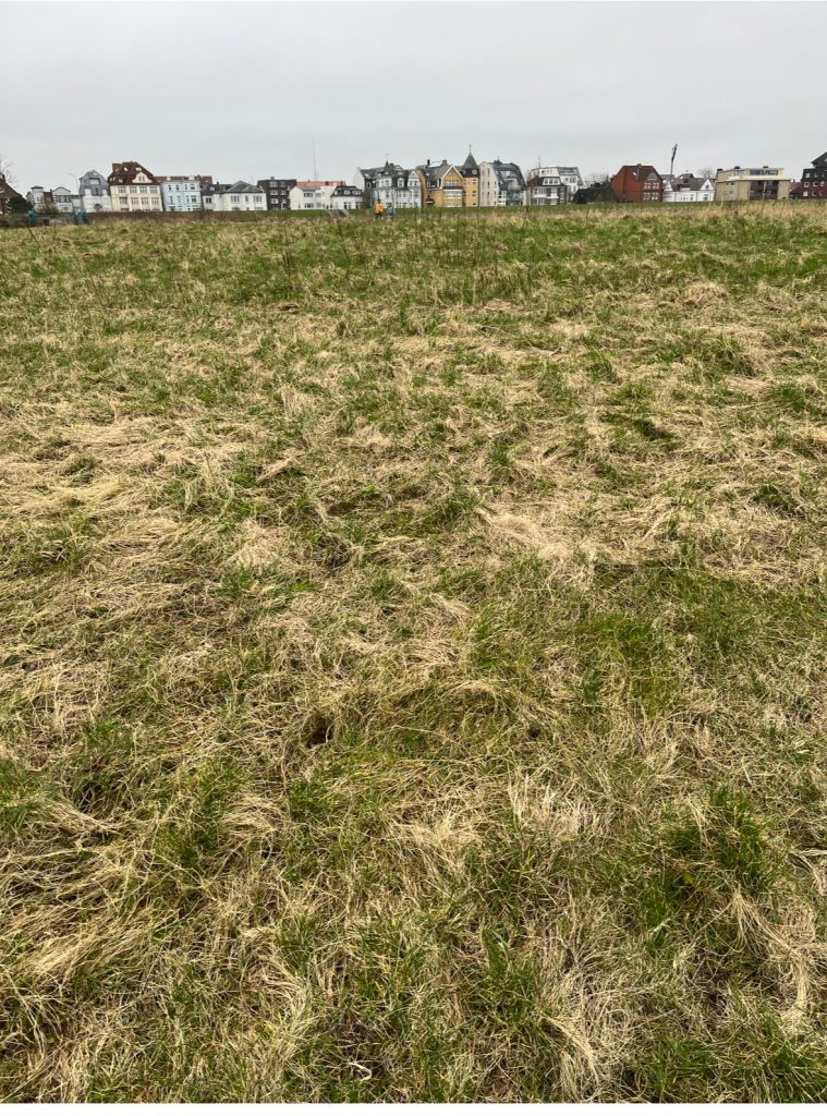 Cuxhaven Vorlage für mein Bild
Vom Foto zur malerischen Umsetzung