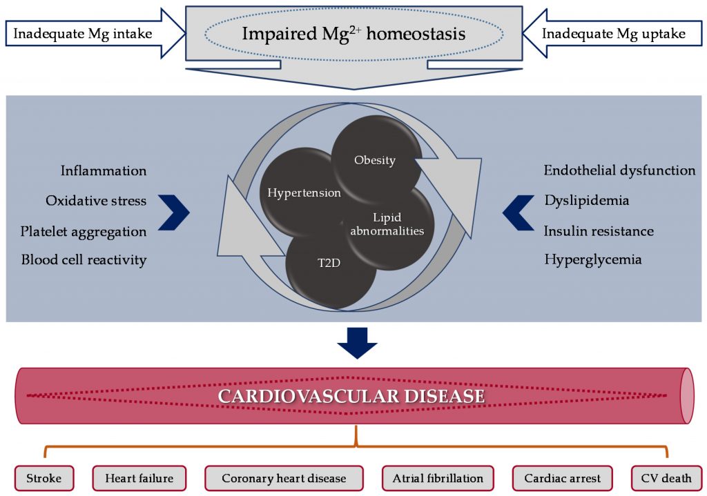 magnesium deficiencies symptoms