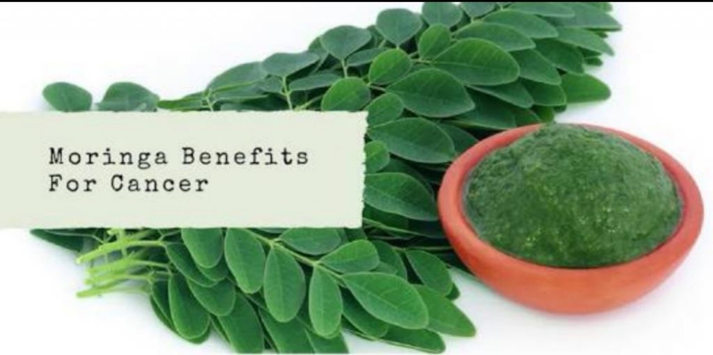 moringa benefits