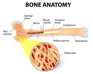 Calcium Deficiency Symptoms