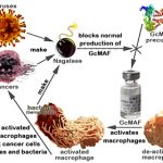 GcMAF Therapy