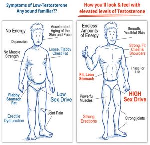 Testosterone Levels In Men