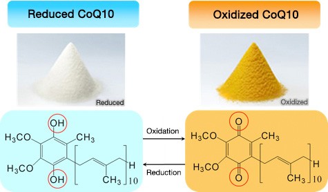 CoQ10 benefits