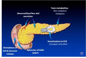 alternative cancer treatments