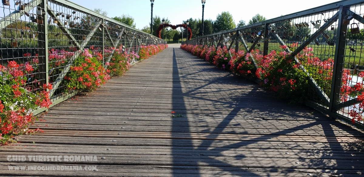 Parcul Natural Comana