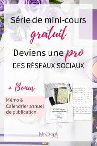 Deviens une pro des réseaux sociaux avec cette série de mini-cours gratuit ! #réseauxsociaux #socialmedia