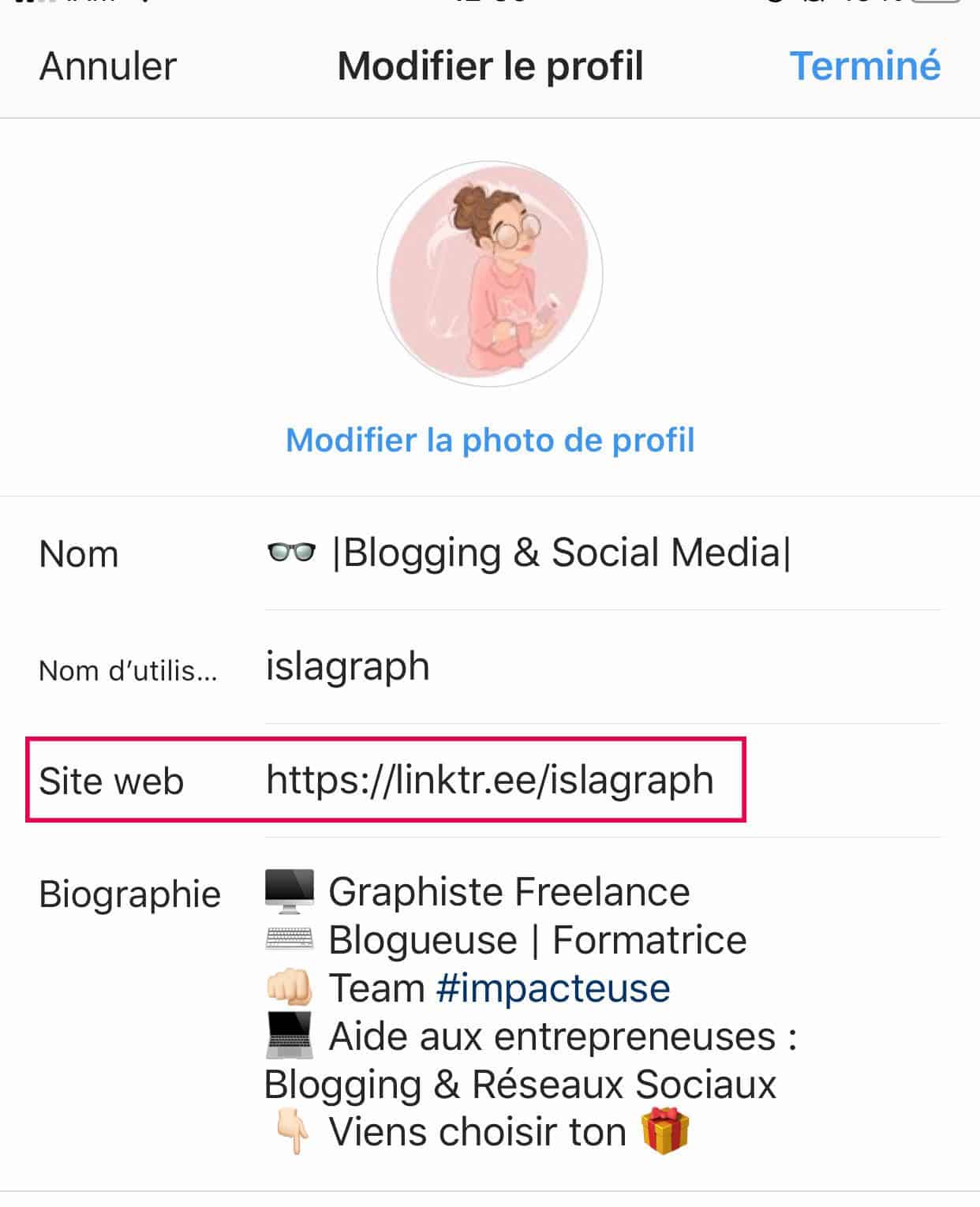 Avec certaines méthodes, des petites choses à mettre en place tu peux utiliser Instagram pour gagner en trafic.