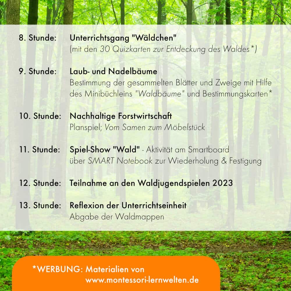 Aufbau der Unterrichtseinheit "Wald"