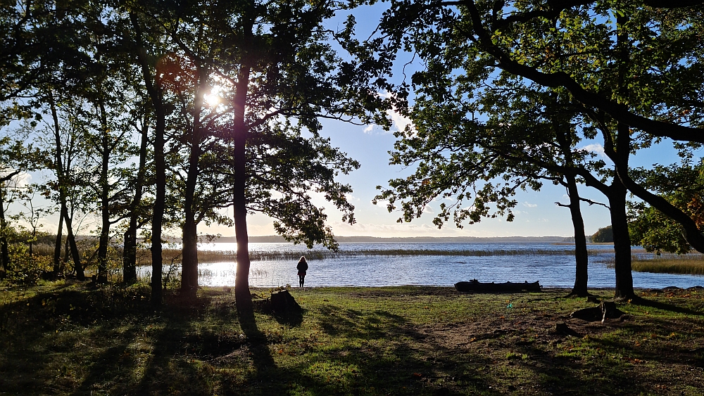 Rosjon Runt Rössjön – Natur, resor och utflykter