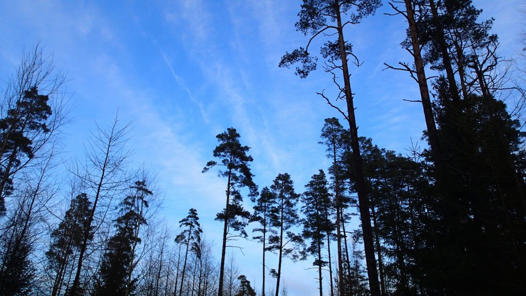 Wandern in Schweden