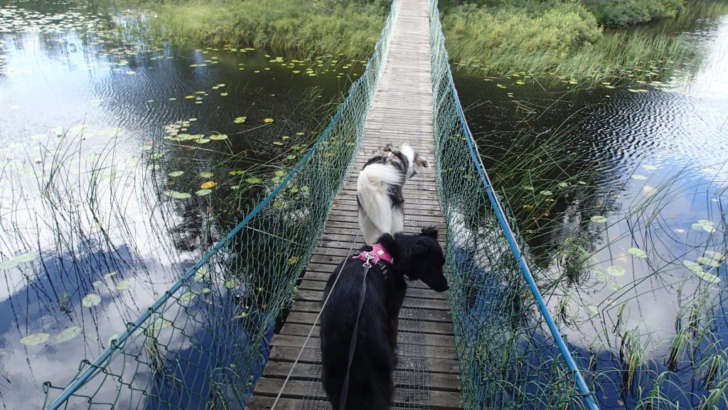 Hängebrücke bei Unnaryd