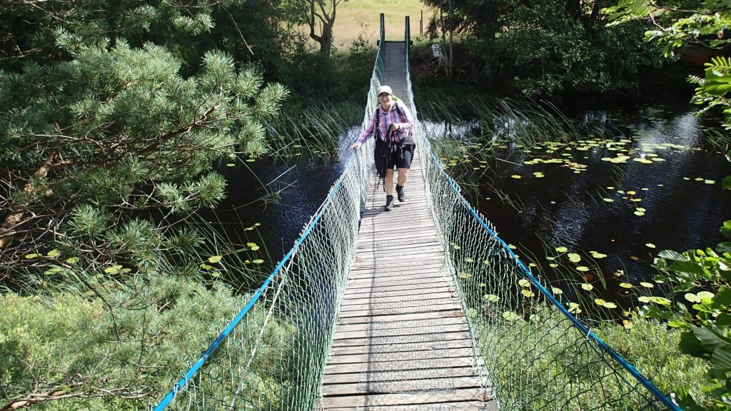 Hängebrücke bei Unnaryd