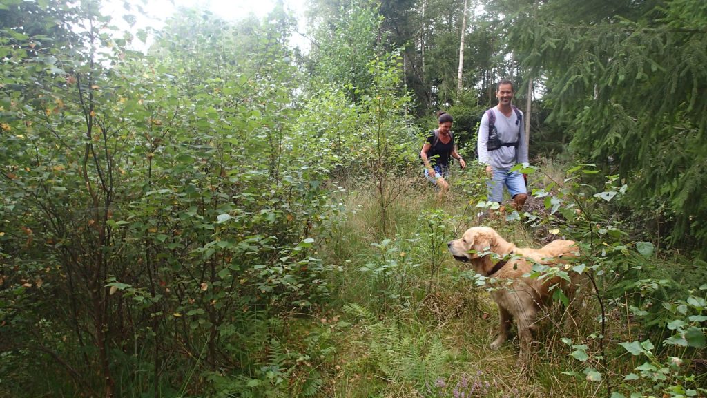 Naturguide abseits der Wege