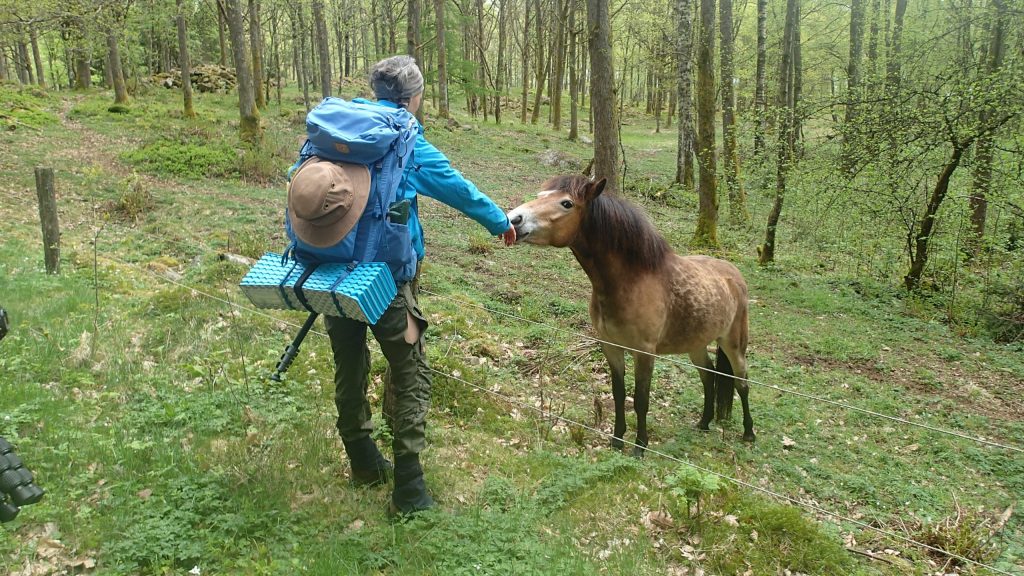 Wandern in Schweden