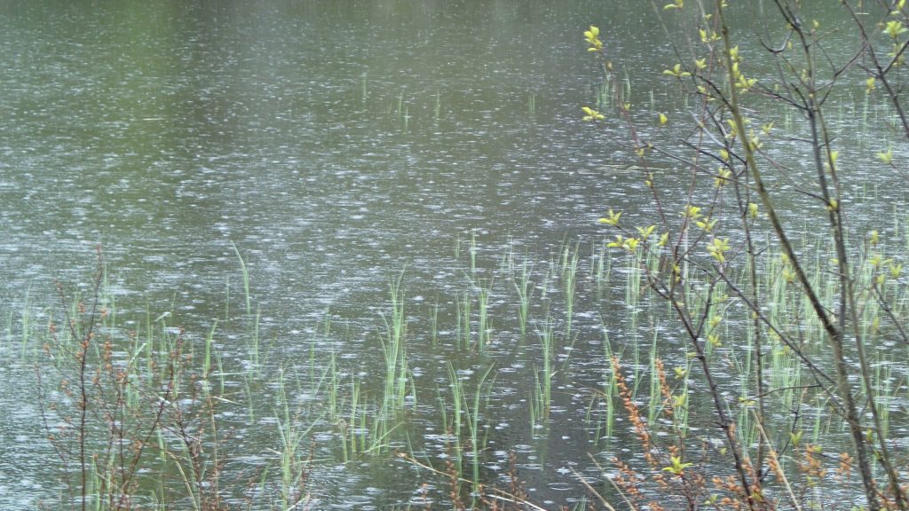 Regen auf dem Bolmen