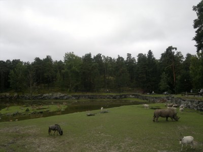 Image Thumbnail