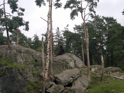 Image Thumbnail