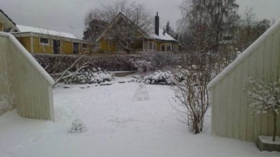 Image Thumbnail