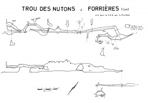 NutonsForrieres1962z