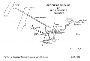 Tridaine1965z