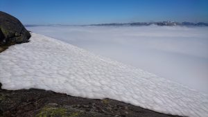 Snø på kanten, hvitt teppe over fjorden (Foto: Tarjei)