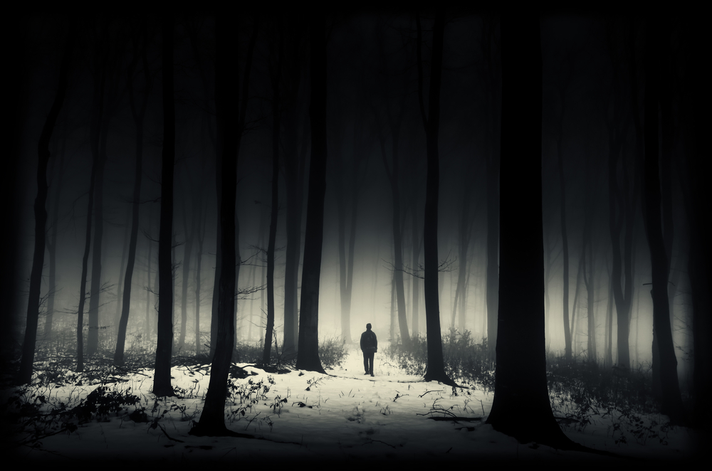 lonely person in a snowy forest at night