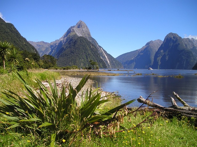 Erfahrungsbericht Work and Travel Neuseeland: Ein Jahr Working Holiday in Neuseeland