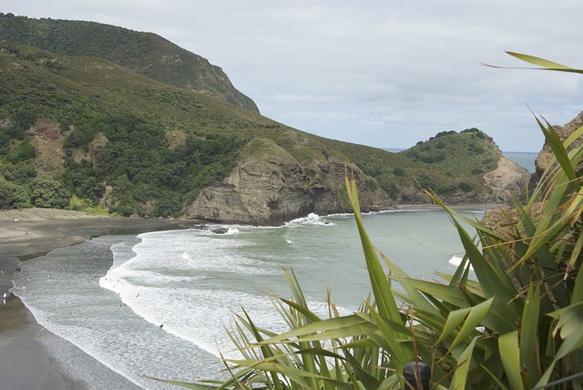 Neuseeland: Piha, surfen, wandern und Natur genießen.