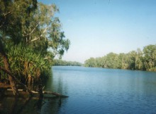 Grüne Oase im Outback, Australien