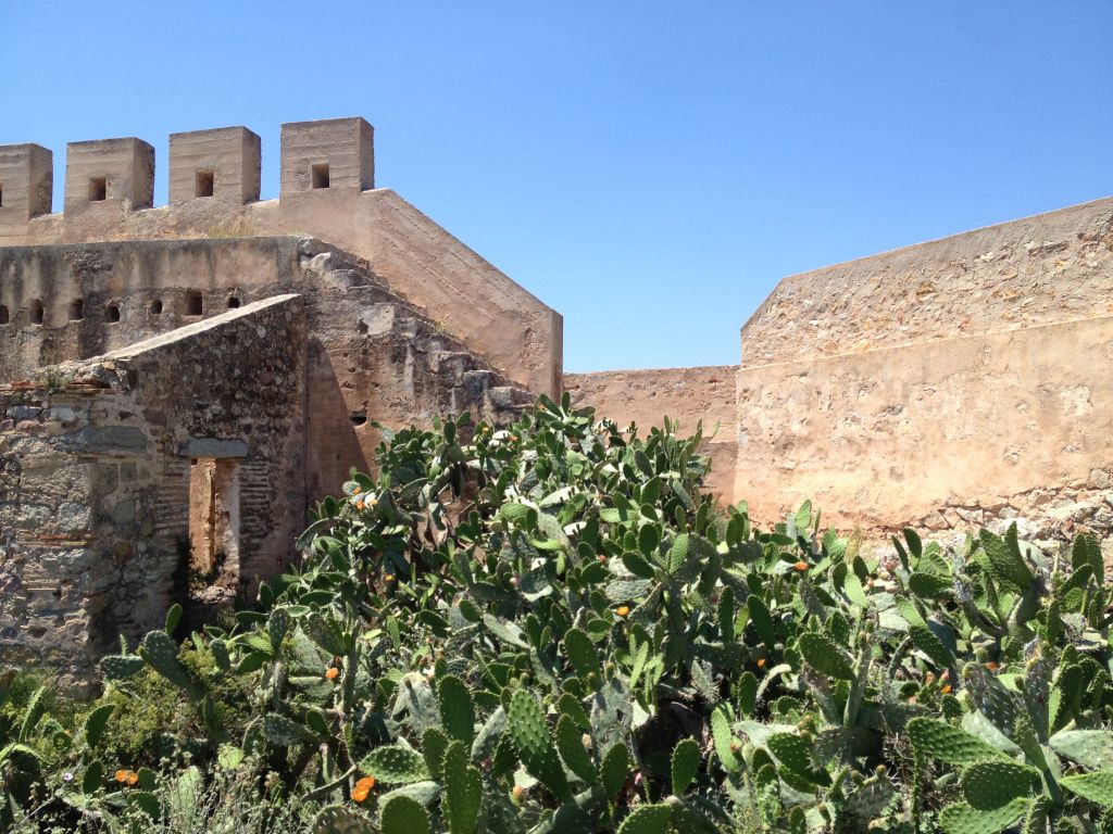 Burg Sagunto Kaktus