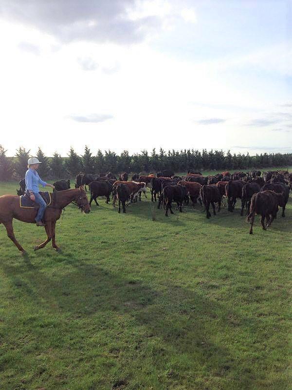 Als Cowboy auf einer Farm in Australien