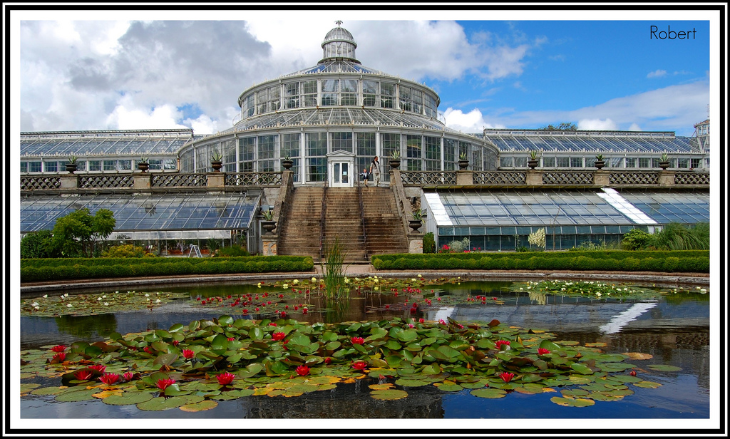 De obras en el jardín botánico