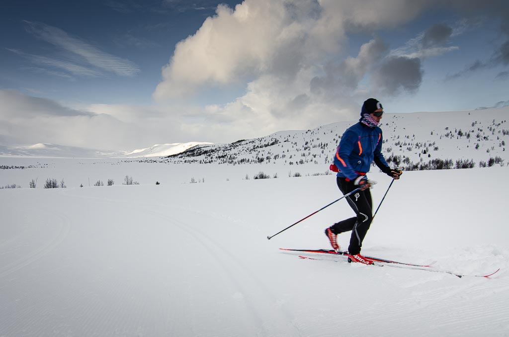 Budalen på Hardangervidda