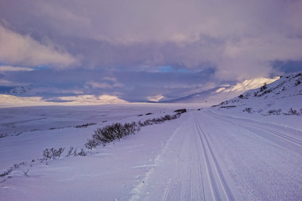 Skiløype langs Tyin