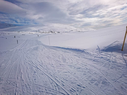 Store fjellvidder ved Haglebu