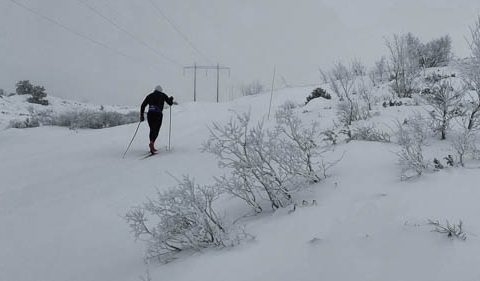 Skeikampen i Gudbrandsdalen