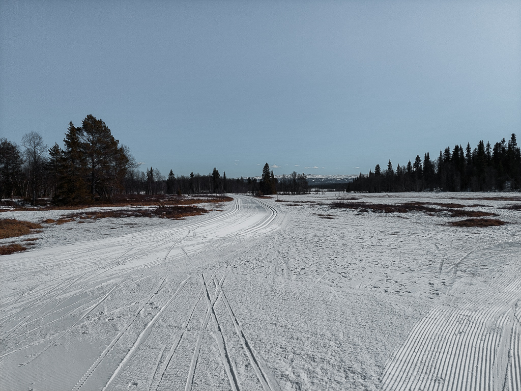 Isete løyper