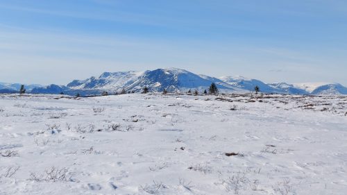Golsfjellet