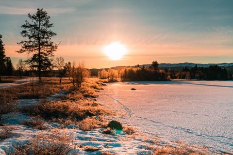 Golsfjellet