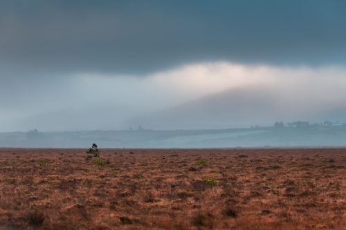 The Wild West Road