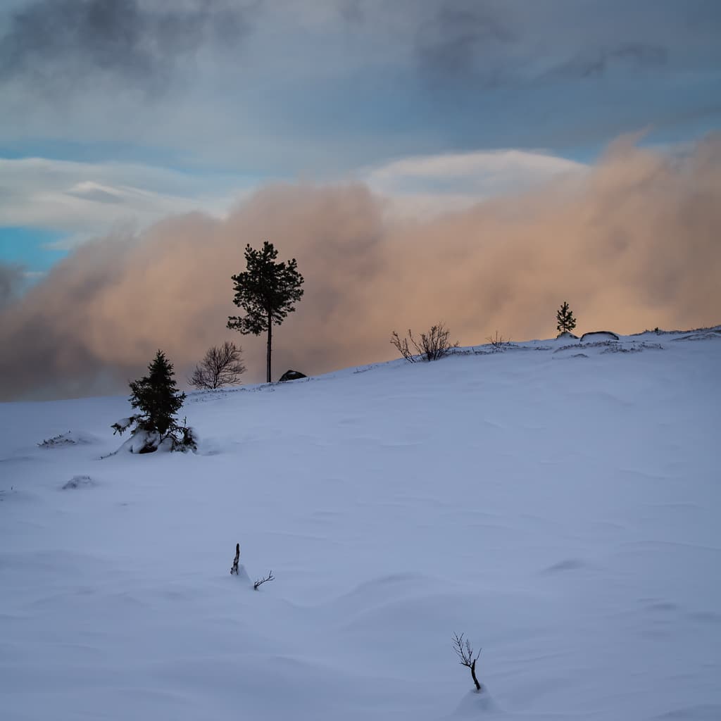 Morgonlys i fjellet