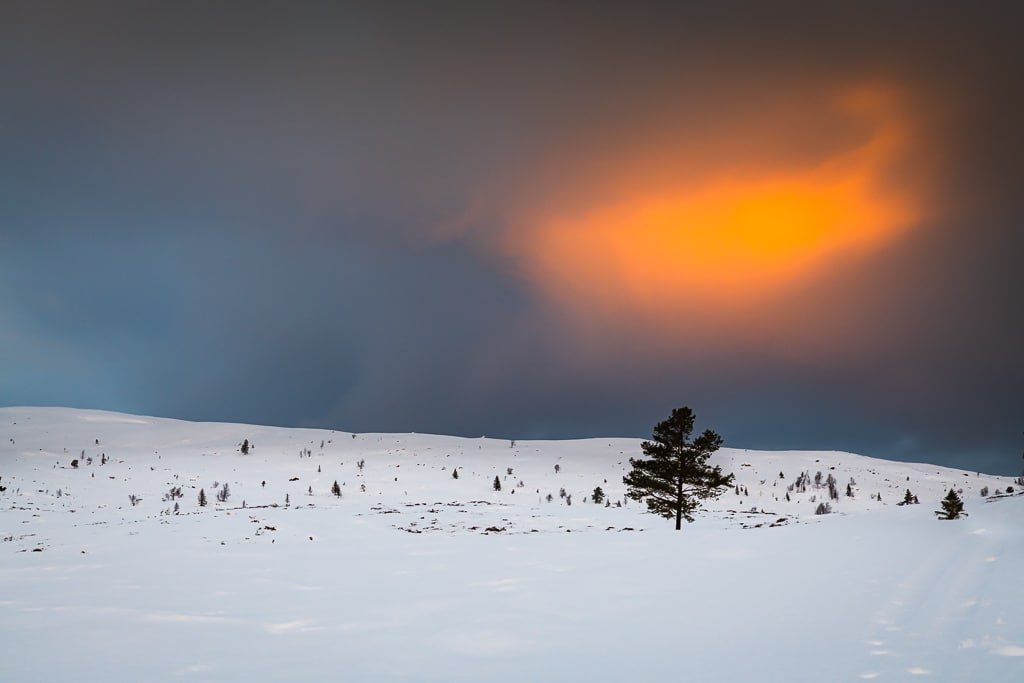 Morgonlys over Utvikfjellet