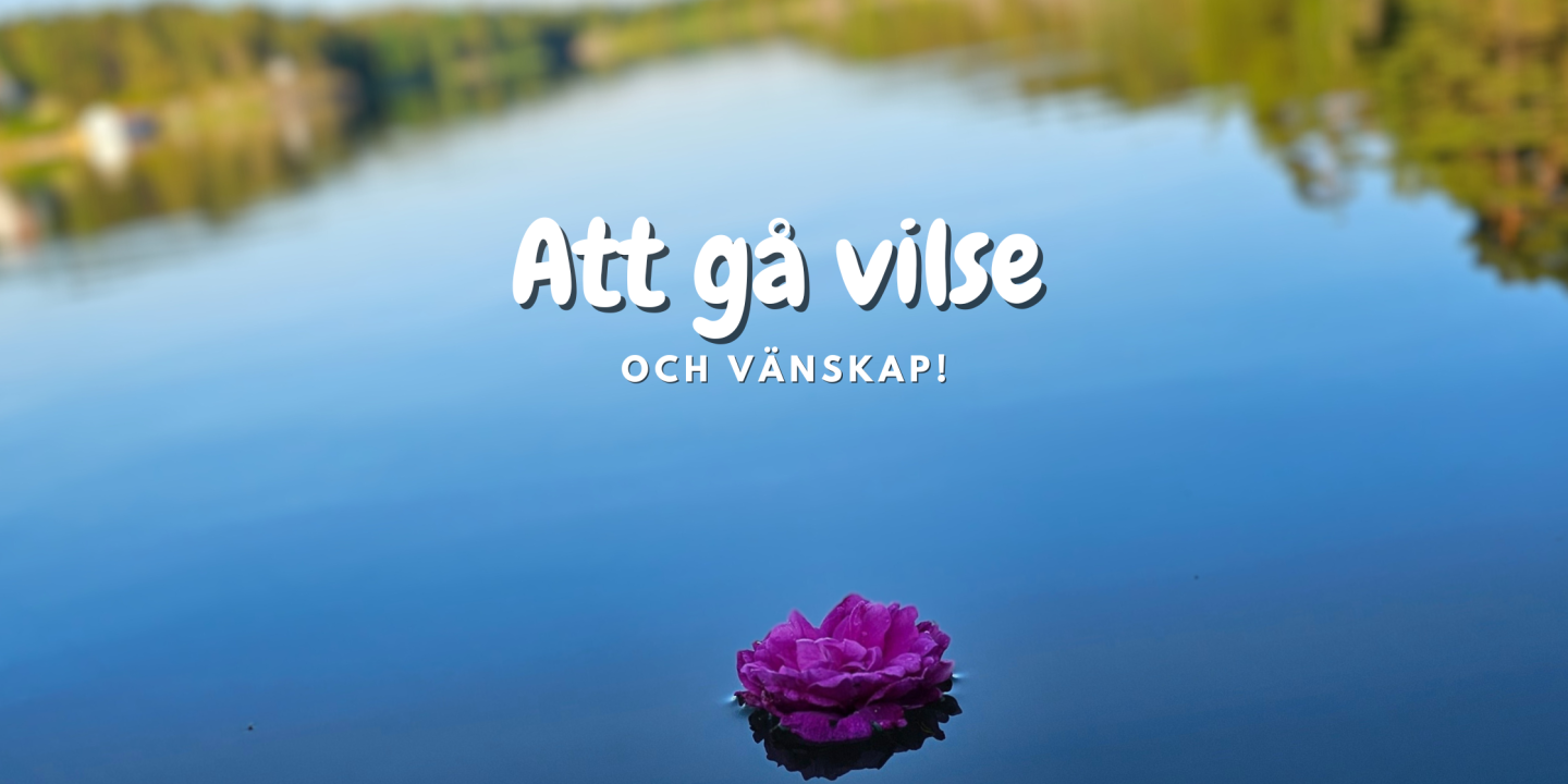 Att gå vilse och vänskap! – Blogg – Livskraften