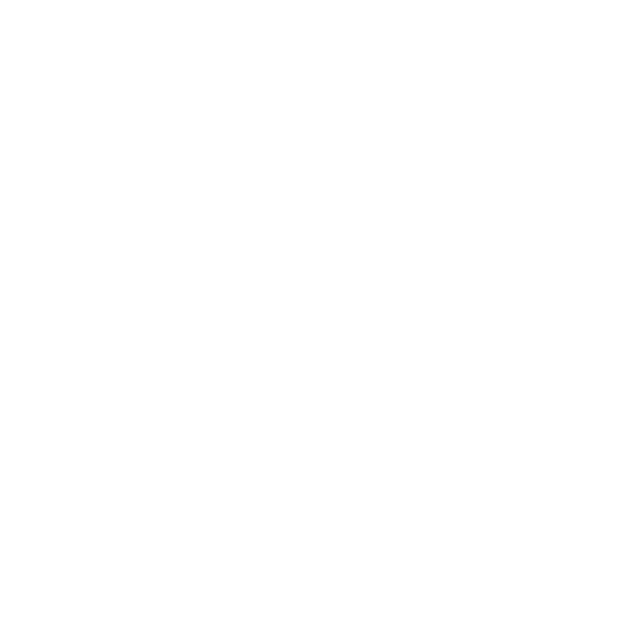 UTLANDSSTUDIE- OCH PRAKTIKBLOGGEN