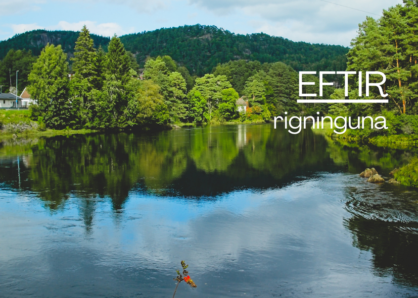 Featured Post Image - Eftir rigninguna!