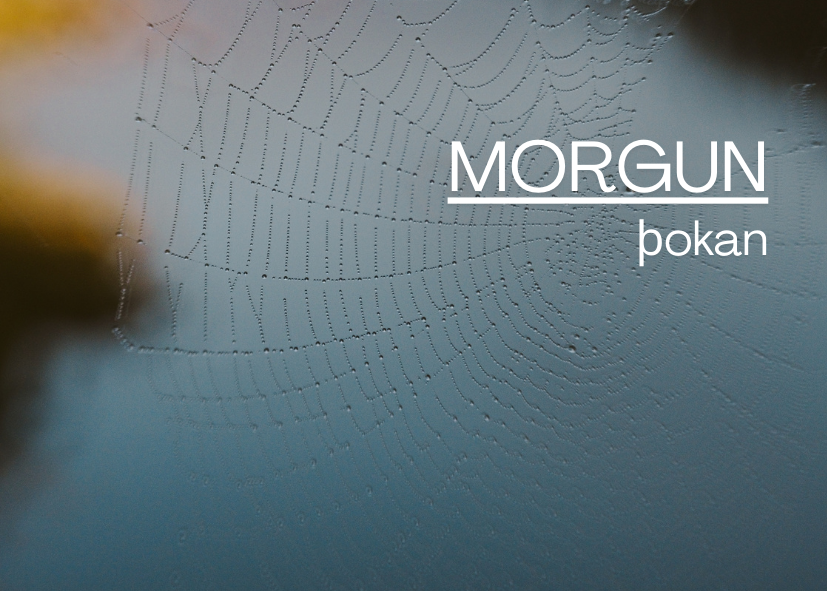 Featured Post Image - Morgunþokan