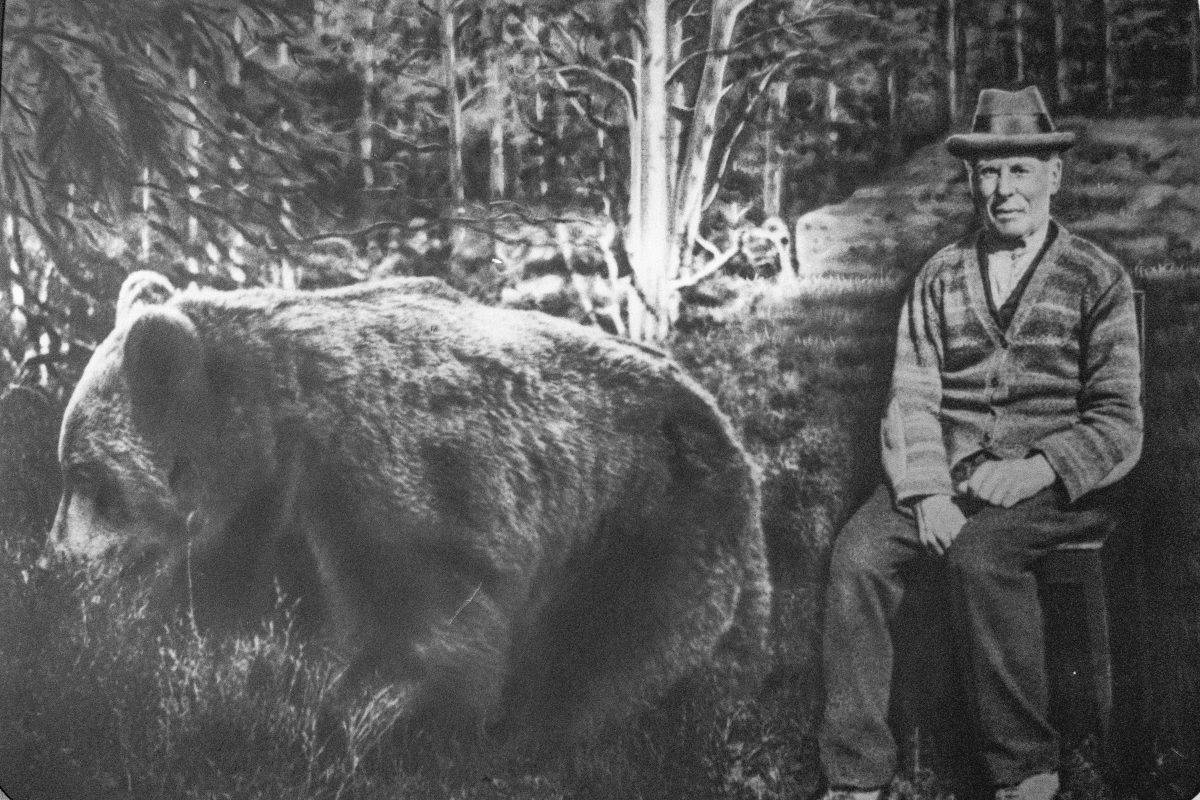 Min farfars far – björnjägaren från Kroksjön