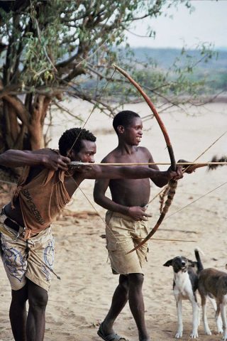 Två män i shorts och bar överkropp från jägar samlar befolkningen Hadza i Tanzania jagar med pilbåge och två hundar står i bakgrunden i torrt landskap med träd bakom