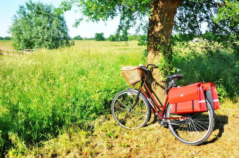 Röd cykel med träkorg vid styret och röda väskor hängandes över pakethållaren står intill ett träd i naturen framför en äng med gräs och blommor. Rekommendationer för fysisk aktivitet kan uppnås genom aktiva transporter med tex cykling till jobbet